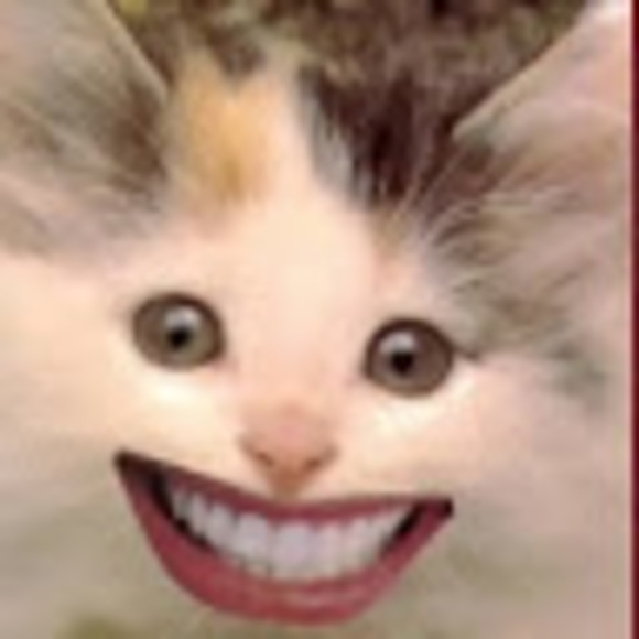 adrienneakaminx